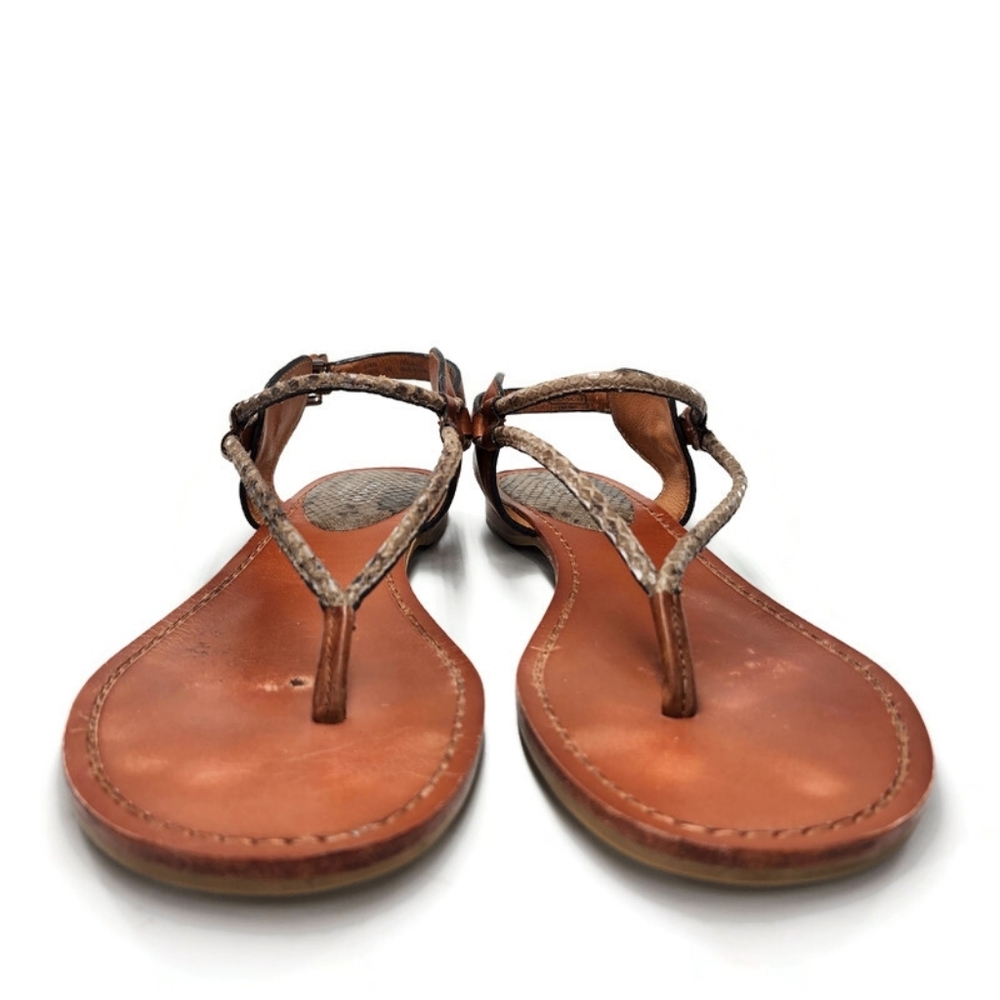 Coach Coco Tan Leather & Python Snake Print T-Strap Slingback Flat Thong Sandals - Picture 4 of 13